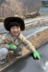 3.24 농업치유활동 감자심기-아메리카반,오세아니아반