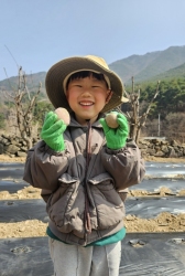 3.26 농업치유활동 감자심기-유럽반,아시아반